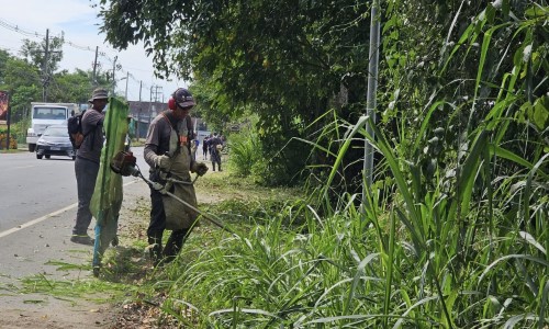 Itatiaia divulga cronograma de serviços de capina e retirada de lixo verde